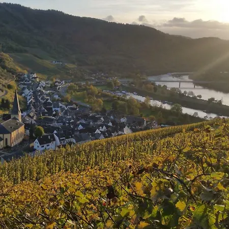 Haus Madle Апартаменты Кохем